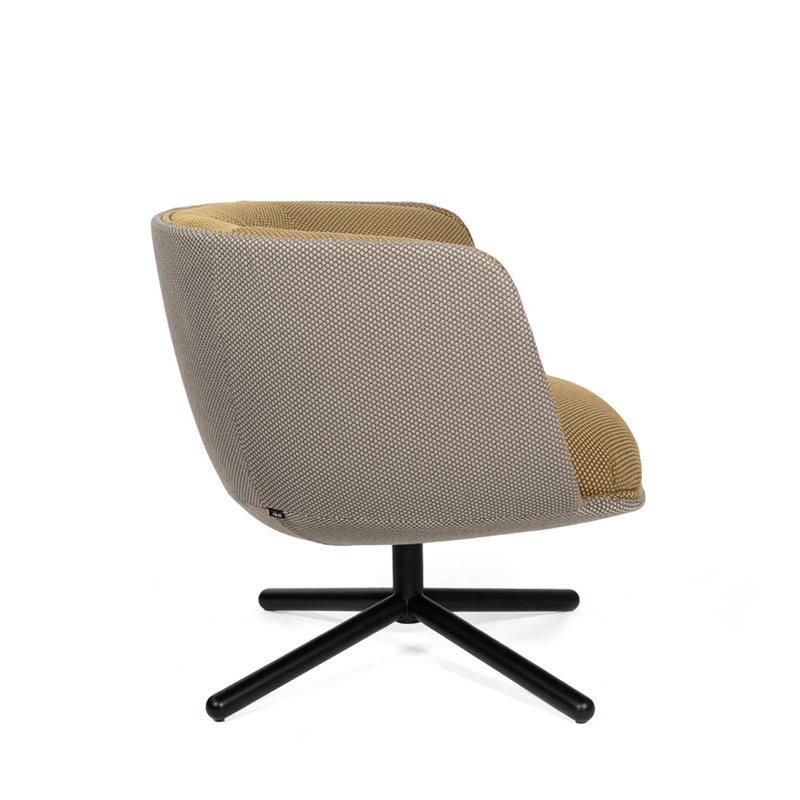 BomBom 4 stars - Image 5